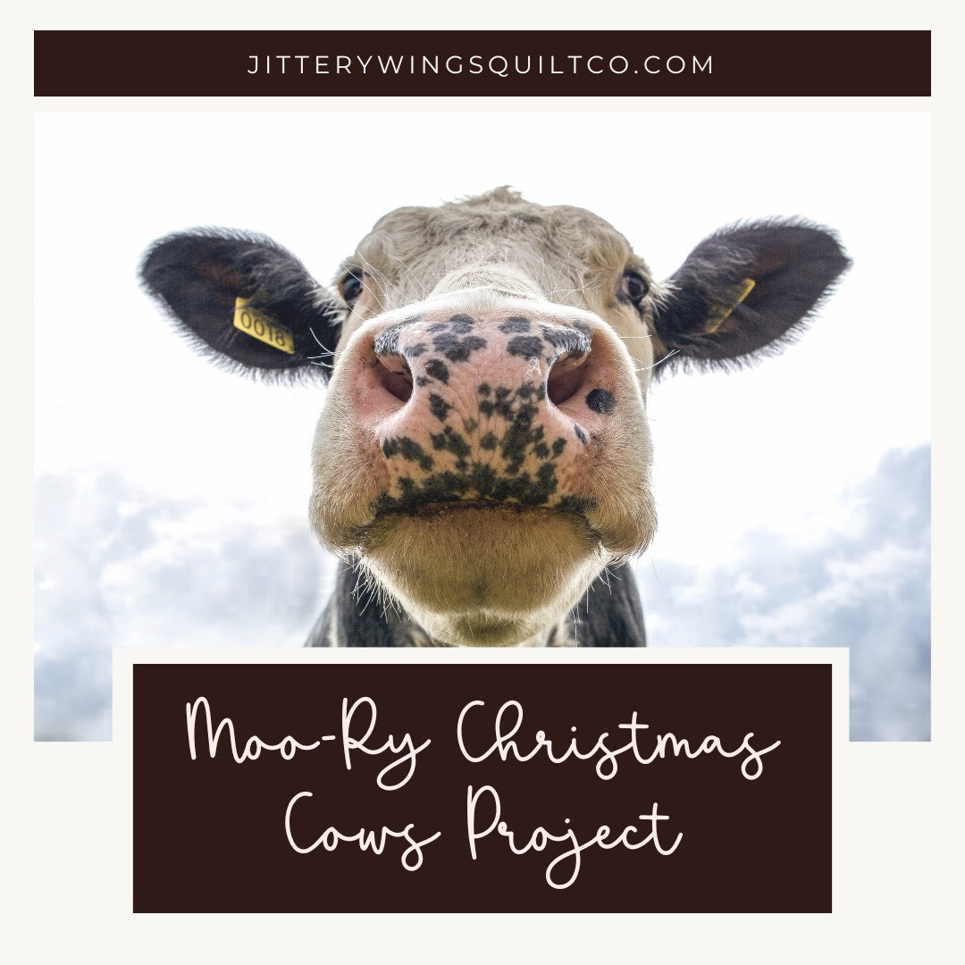 Moo-rry Christmas Cows