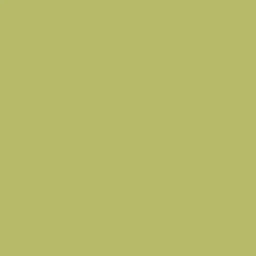 Appletini PE423 (1/2 Yard Cuts)