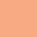 Apricot Crepe PE426 (1/2 Yard Cuts)