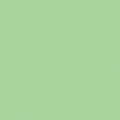 Pistachio Creme PE462 (1/2 Yard Cuts)