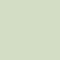 Sprout PE541 (1/2 yard cuts)