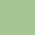 Fresh Aloe PE543 (1/2 Yard Cuts)