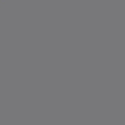 Galactic Grey PE548 (1/2 yard cuts)