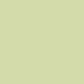 Mojito PE577 (1/2 Yard Cuts)