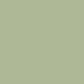 Pistachio PES914 (1/2 Yard Cuts)